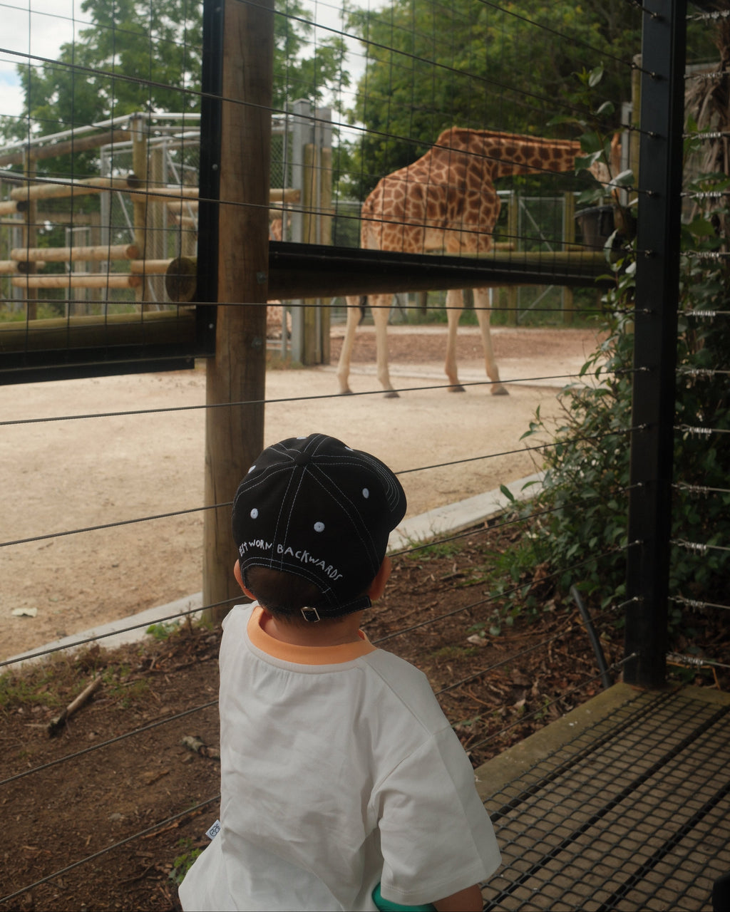 BWB Cap - White Eyelets